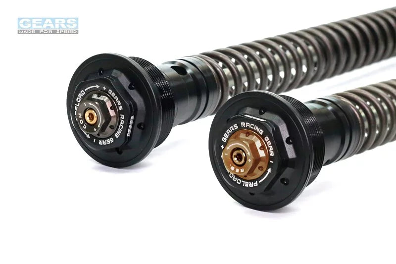 CFMOTO 450MT (24~)/IBEX 450 (25~) Front Fork Cartridge Inverted-Forks ( FFC-250-T ) - Wadamart