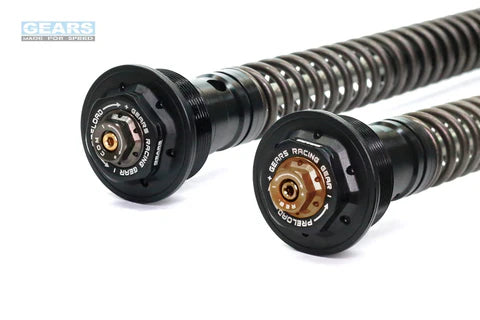 YAMAHA YZF R15 V3 (18~20)/R15 V4/R15 M (21~)/MT15 (19~21)/MT15 V2 (22~) With ABS Front Fork Cartridge Inverted-Forks ( FFC-250-TT )
