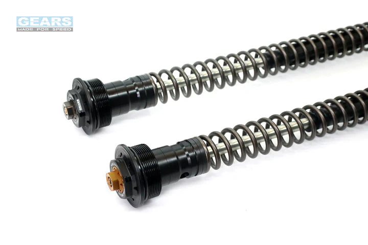 BMW R NINE T PURE (17~) Front Fork Cartridge Conventional-Forks ( FFC-250-T )