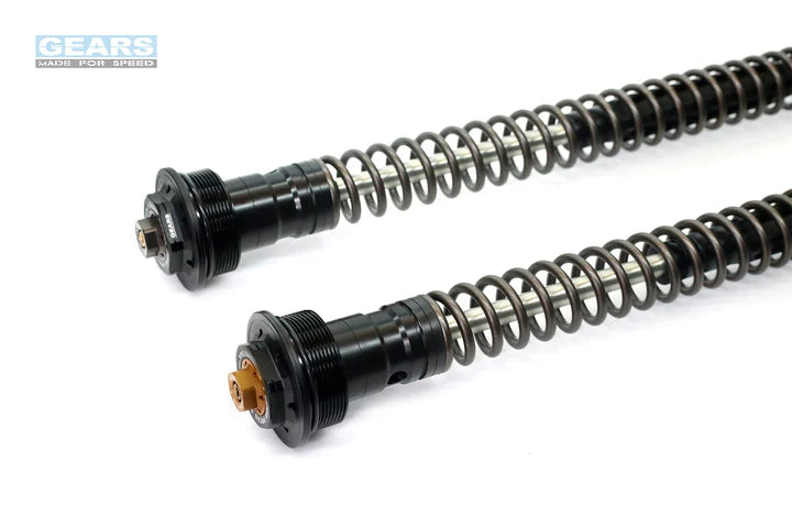 HONDA CBR150R (17~20) Front Fork Cartridge Conventional-Forks ( FFC-250-TT ) - Wadamart