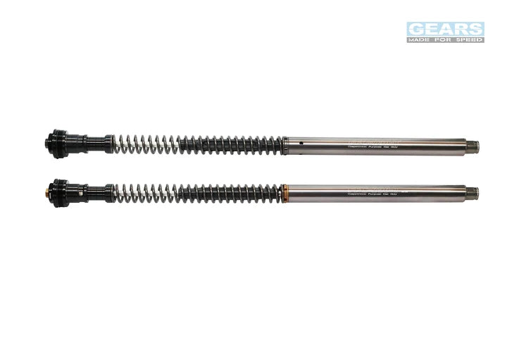 KAWASAKI NINJA 1000 SX (15~) Front Fork Cartridge Inverted-Forks ( FFC-250-T ) - Wadamart
